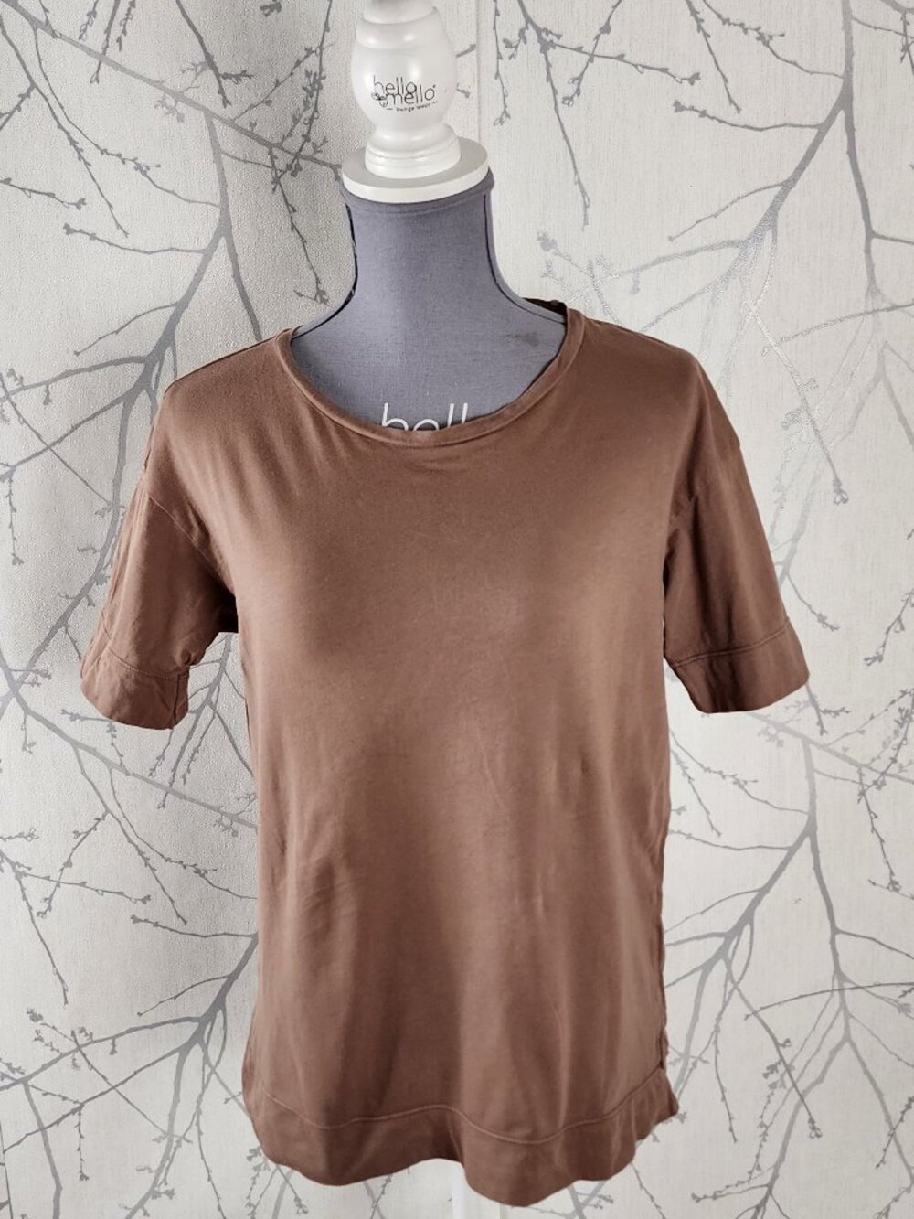 Everlane Brown Supima Cotton Jersey Round Neck Boxy Fit Tee